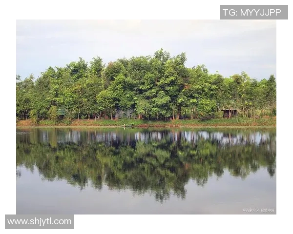 哈德森的魅力探秘：一场关于自然与人文的奇妙旅程